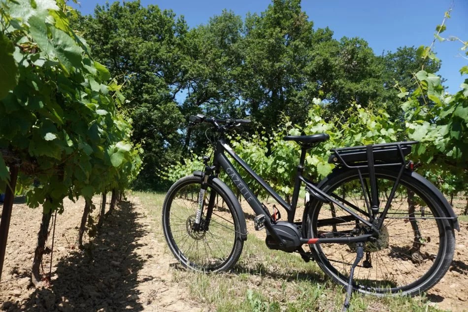 The Luberon by bike Bike ride trip SunEBike