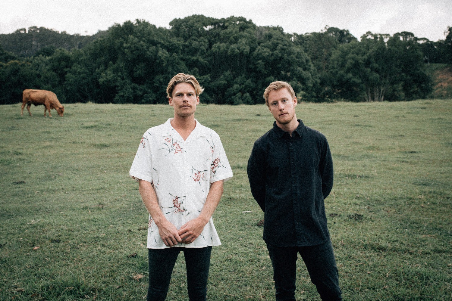 Hollow Coves announce debut album 'Moments' V2 records