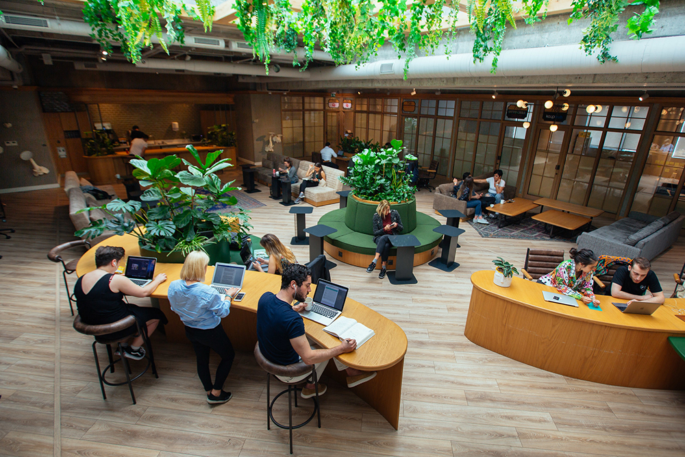 Kolektif House’tan eğitim atağı Kolektif Academy