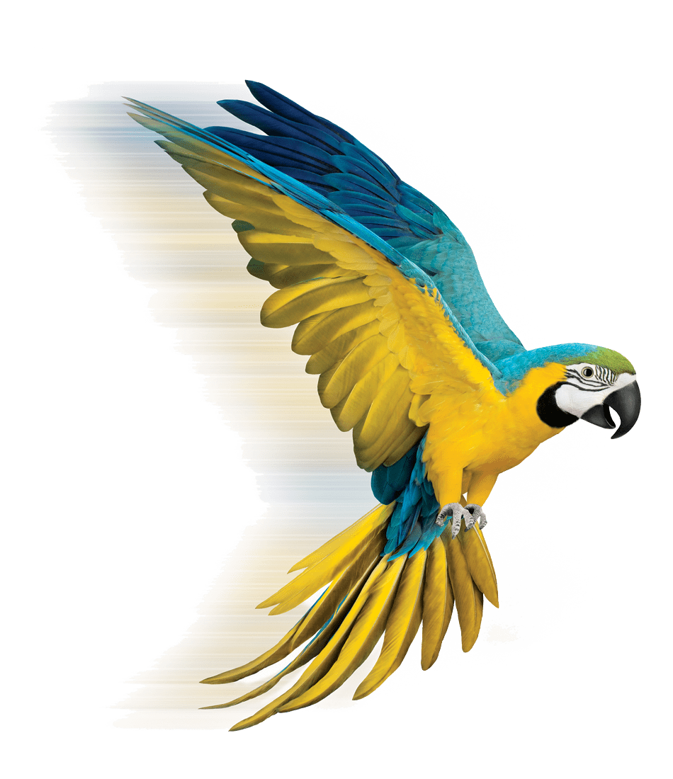 Citizens legal advice centre hull shops, lawyer directory bc telus