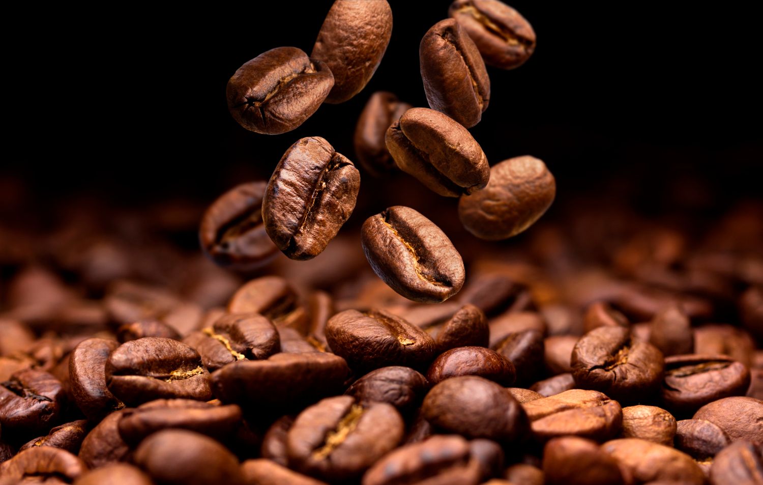 7 Best Gourmet Coffee Brands in 2024