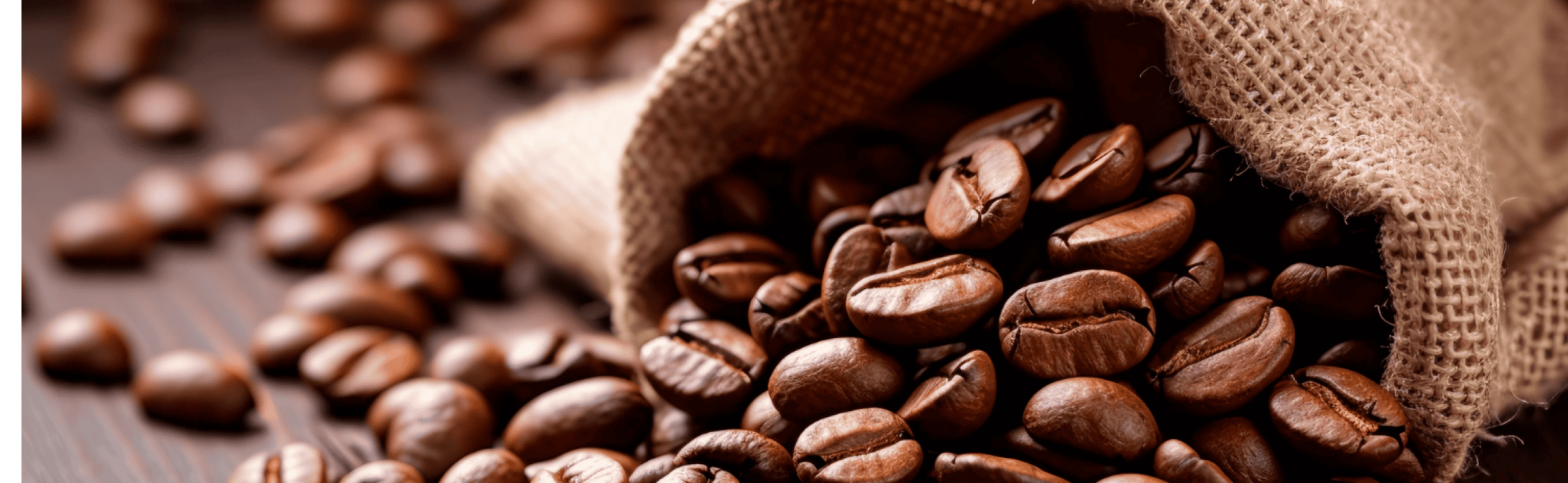 7 Best Lavazza Coffee Beans (For Drip Coffee + Espresso)