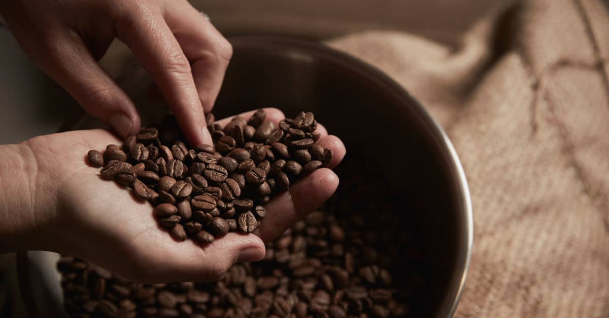 Best Kona Coffee Beans To Try in 2021 Tasted and Reviewed Daring Kitchen