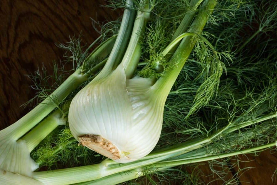 10 Tarragon Substitutes For Any Occasion Daring Kitchen