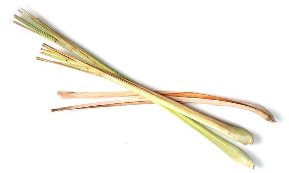Lemongrass Substitutes That Are Easy to Find Daring Kitchen