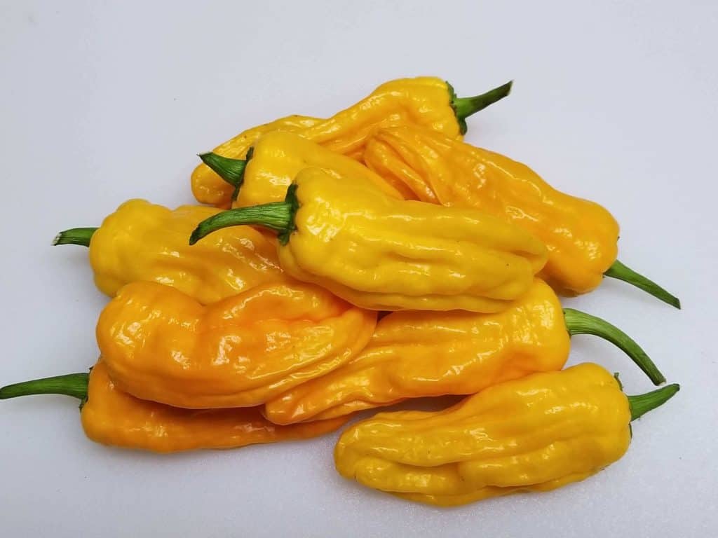 Pepperoncini vs. Banana Pepper What's the Difference? Daring Kitchen