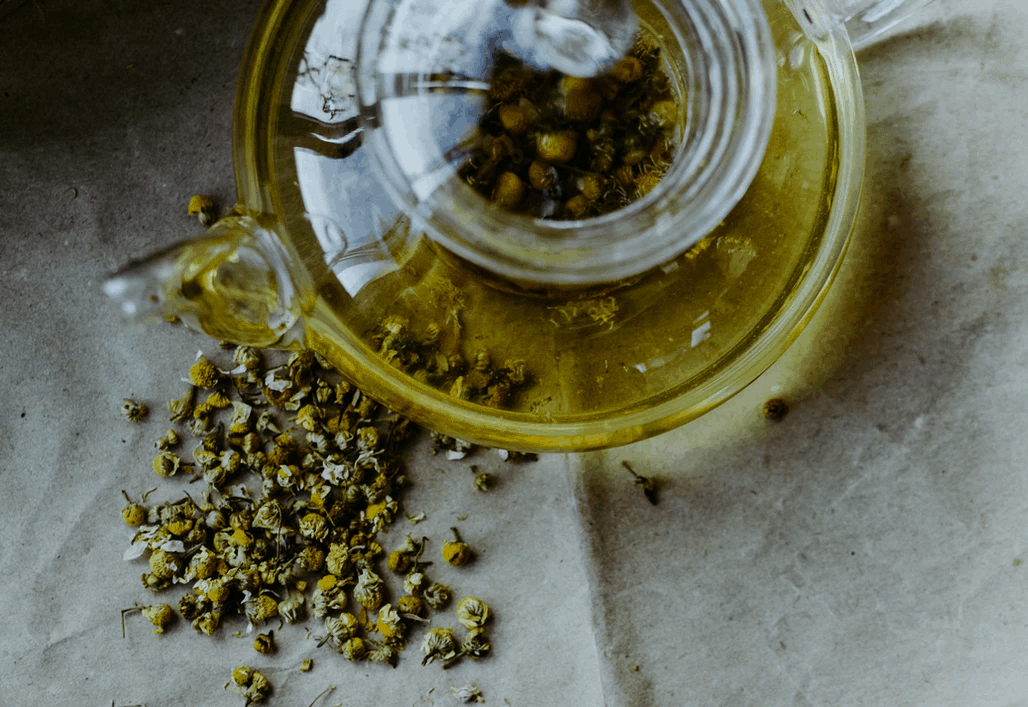 Best Chamomile Tea for 2023 Daring Kitchen