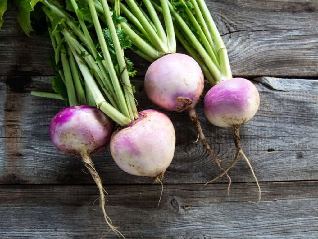 What To Do With Turnips And Radishes at Katherine Thomas blog