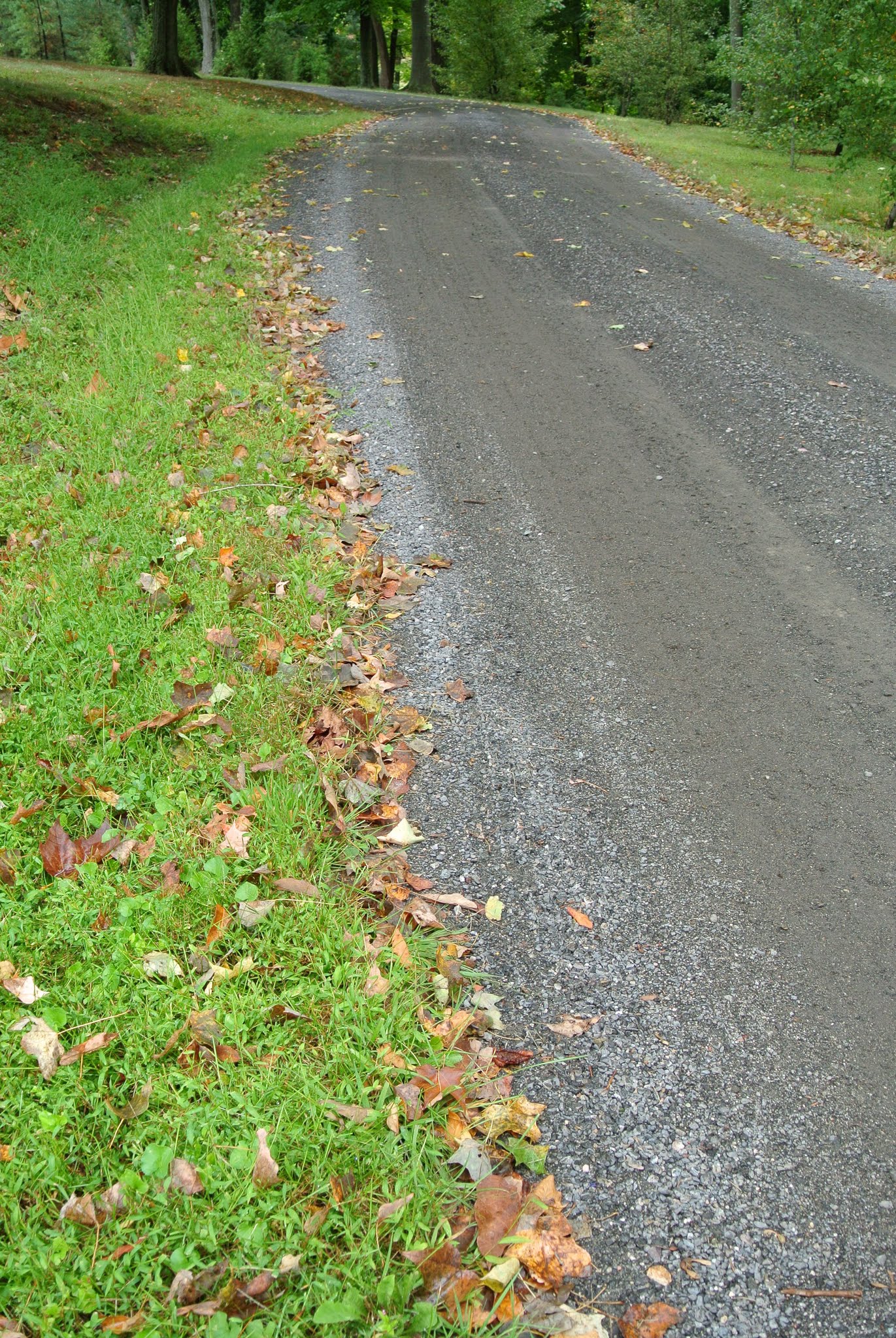 Edging the Carriage Roads at My Farm The Martha Stewart Blog