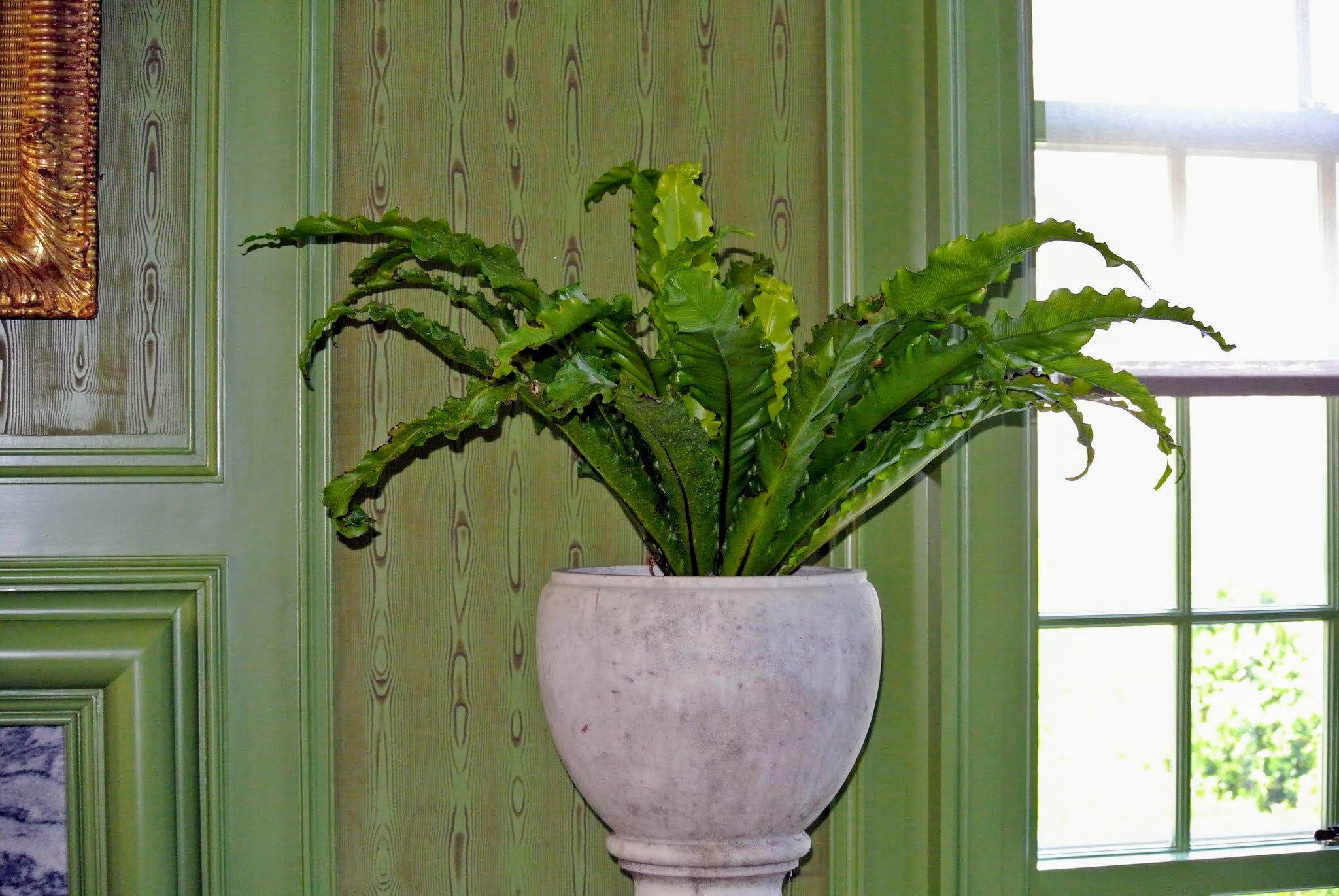 Decorating with Houseplants for Easter The Martha Stewart Blog