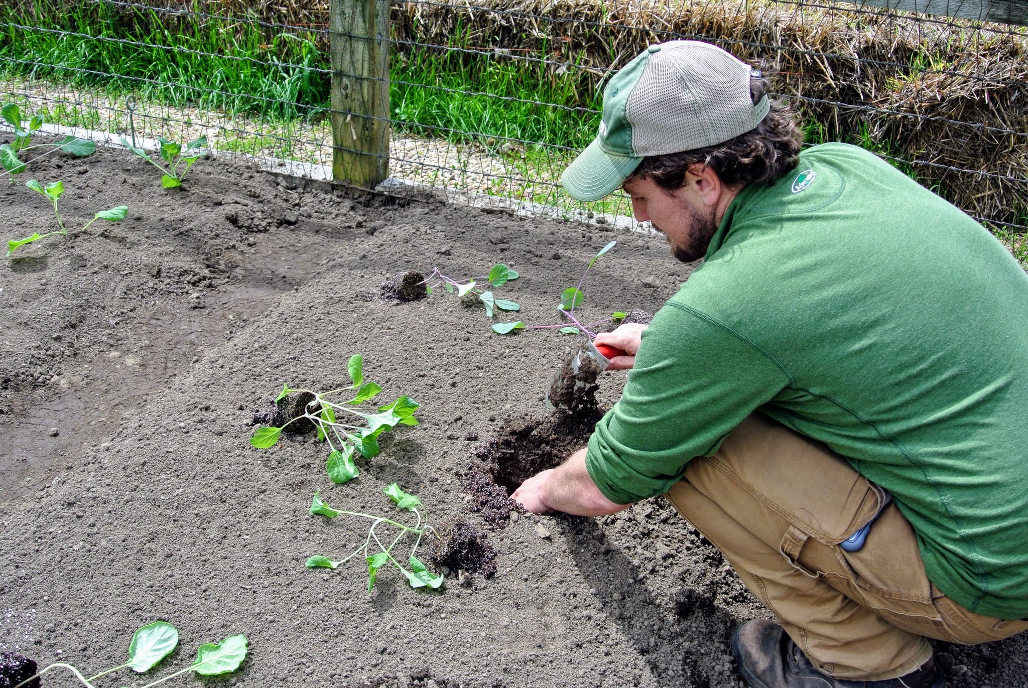 The Martha Stewart Blog Blog Archive Planting in the Vegetable Garden