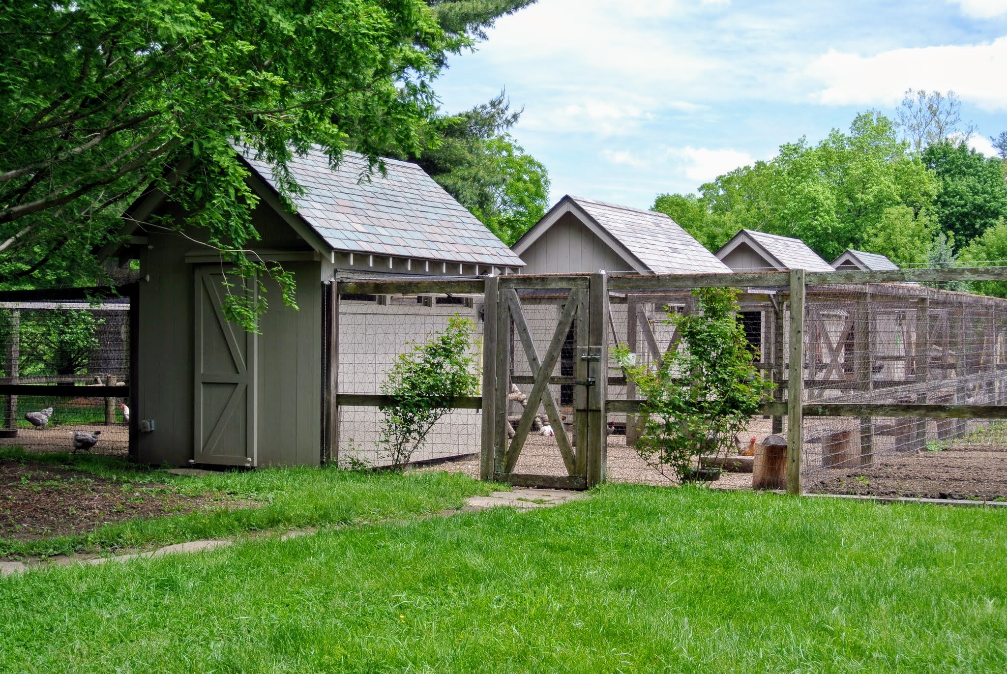 Cleaning the Chicken Coops and Installing New Nesting Boxes The