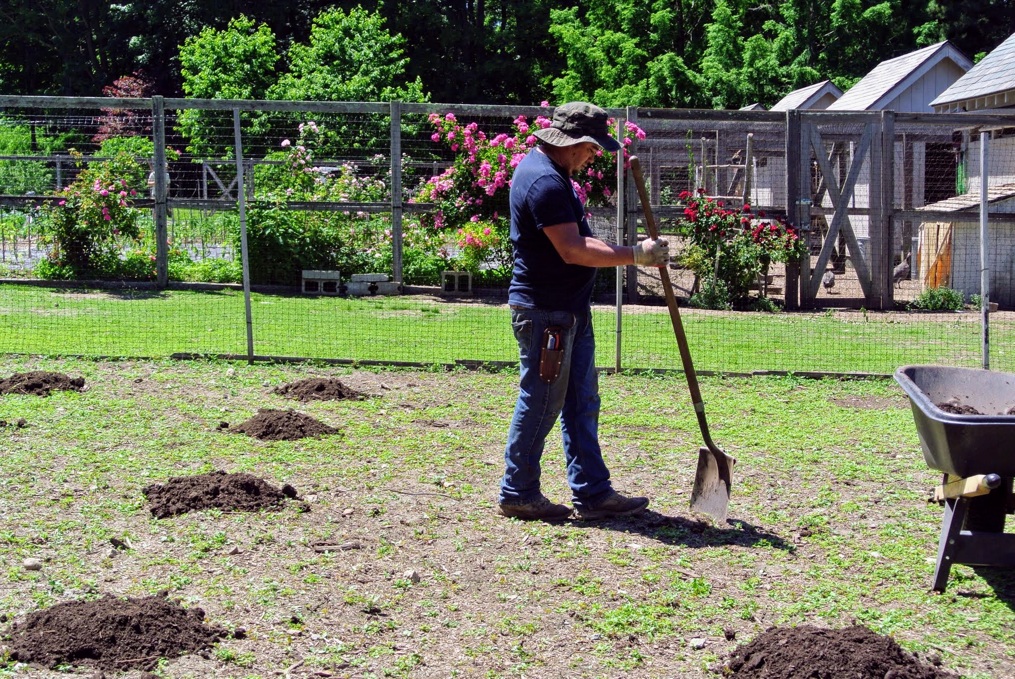 Planting in the Pumpkin Patch The Martha Stewart Blog