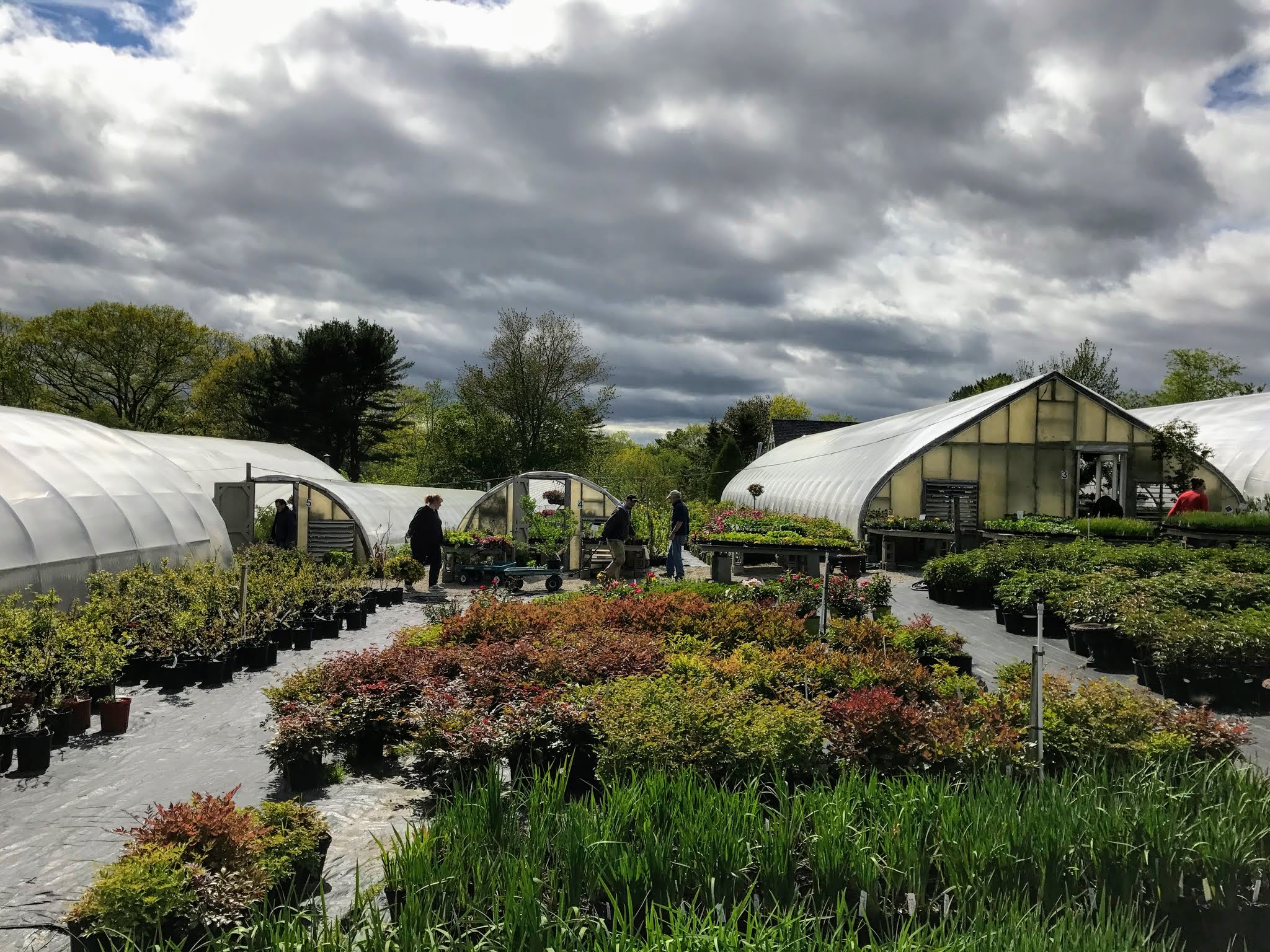 My Memorial Day Weekend in Maine The Martha Stewart Blog