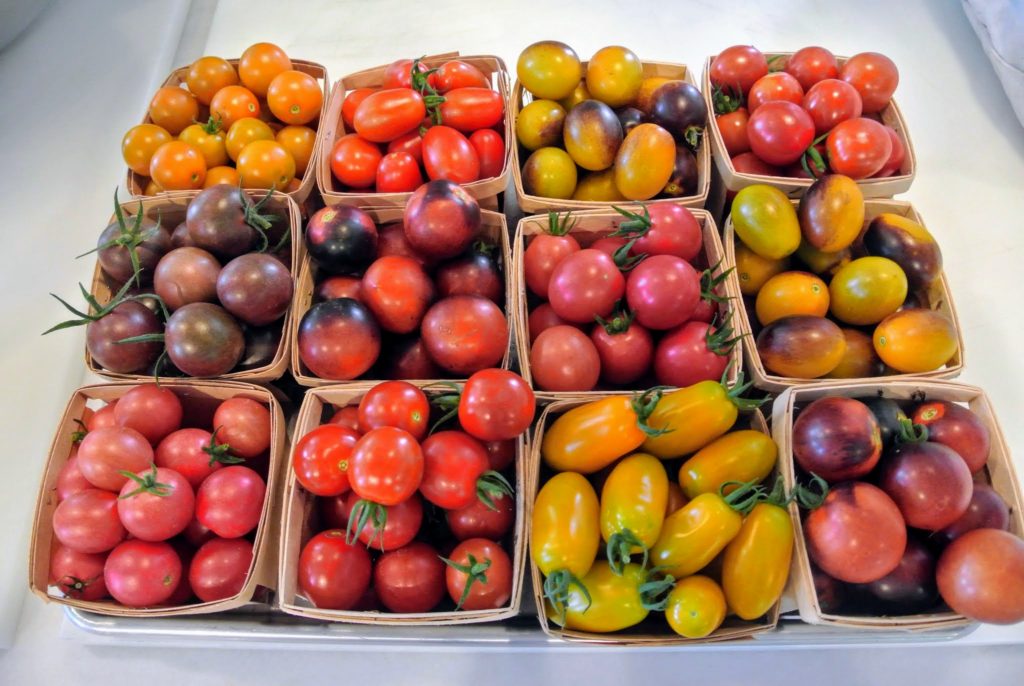 Making Whole Tomato Sauce The Martha Stewart Blog
