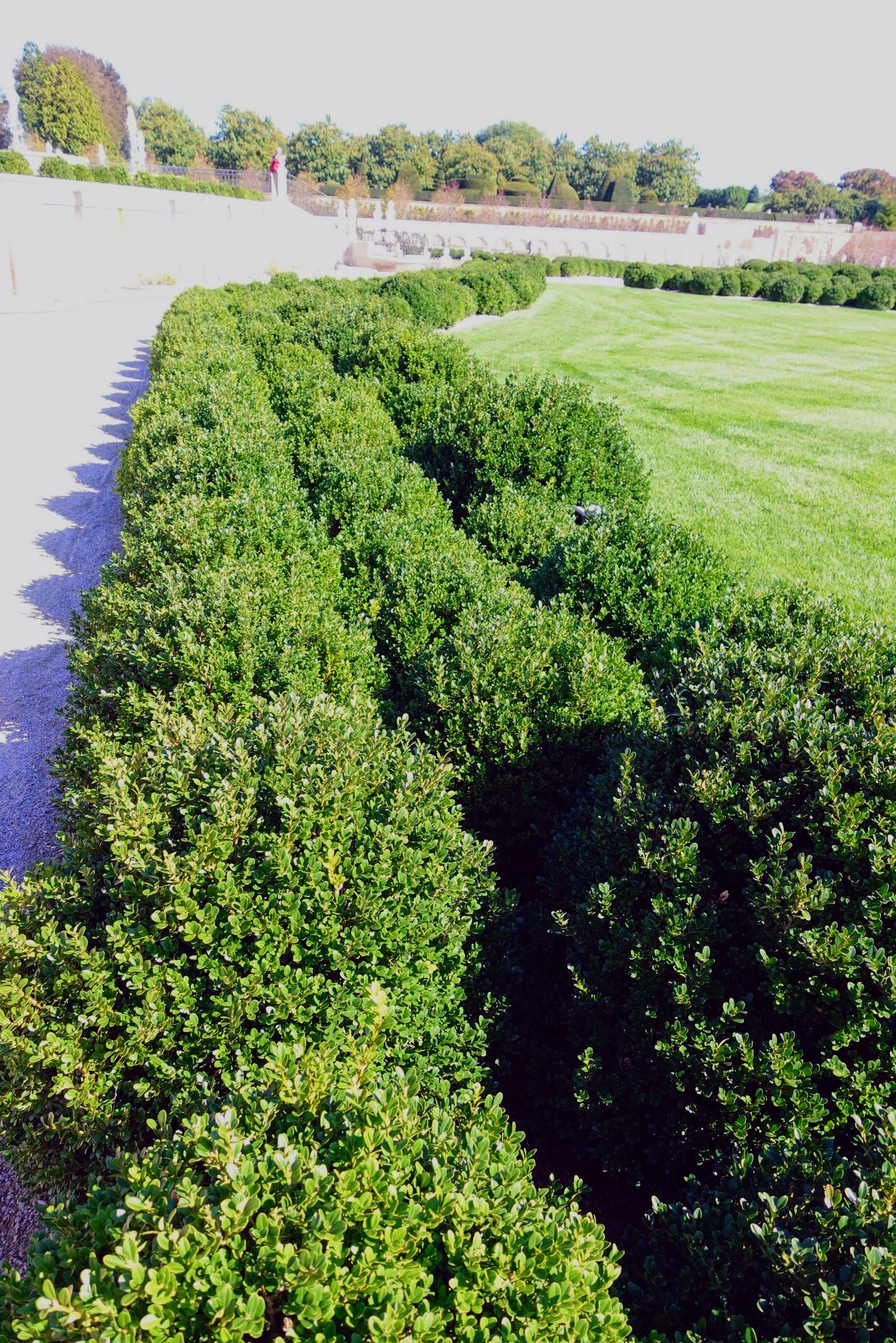 A Visit to Longwood Gardens The Martha Stewart Blog