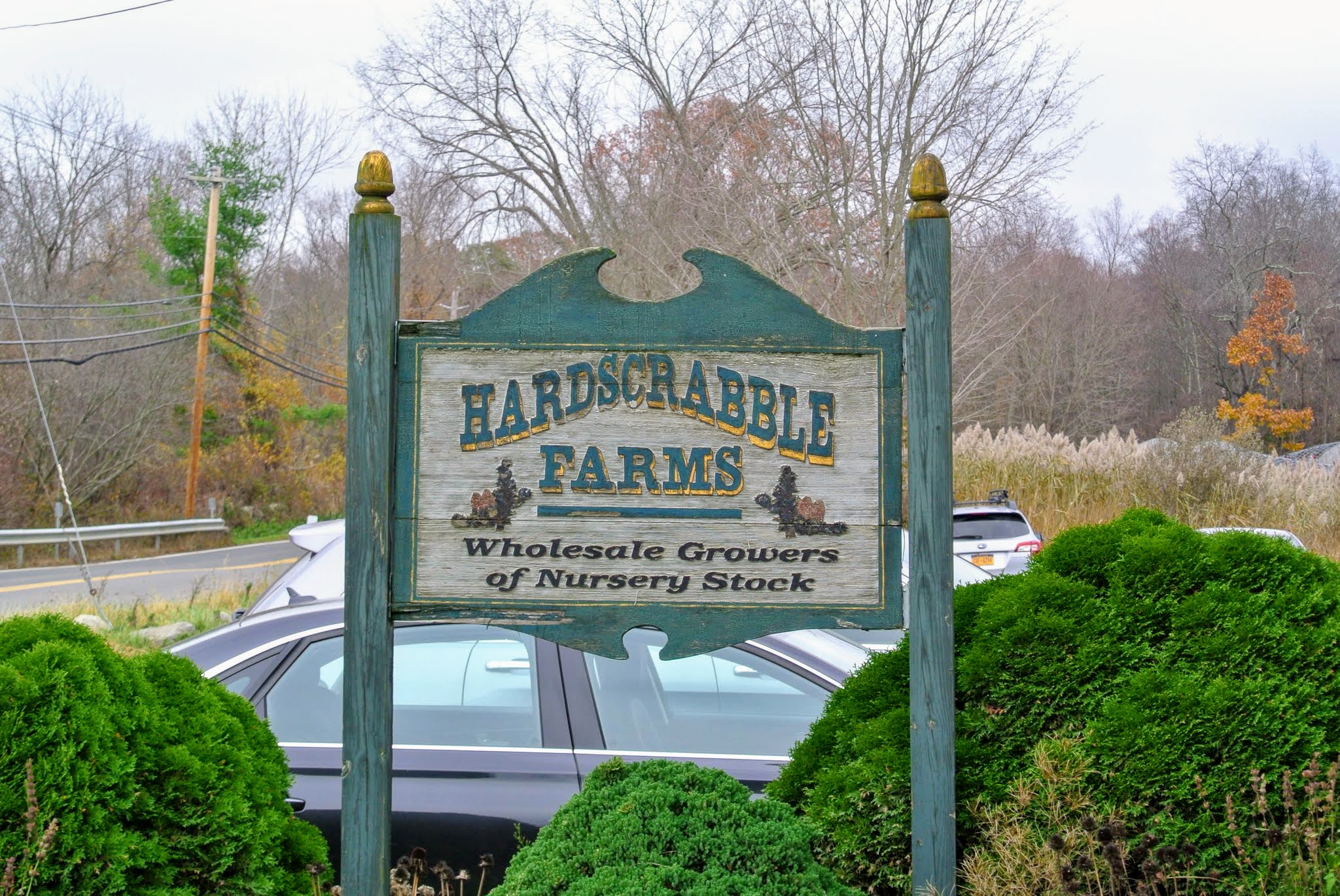 A Visit to Hardscrabble Farms in North Salem, New York The Martha