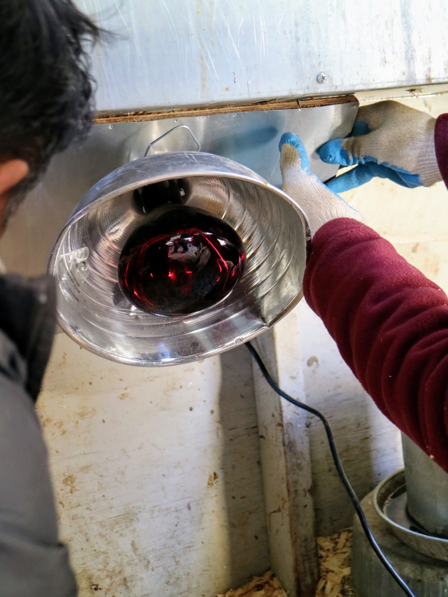 Keeping My Chickens Warm at the Farm The Martha Stewart Blog