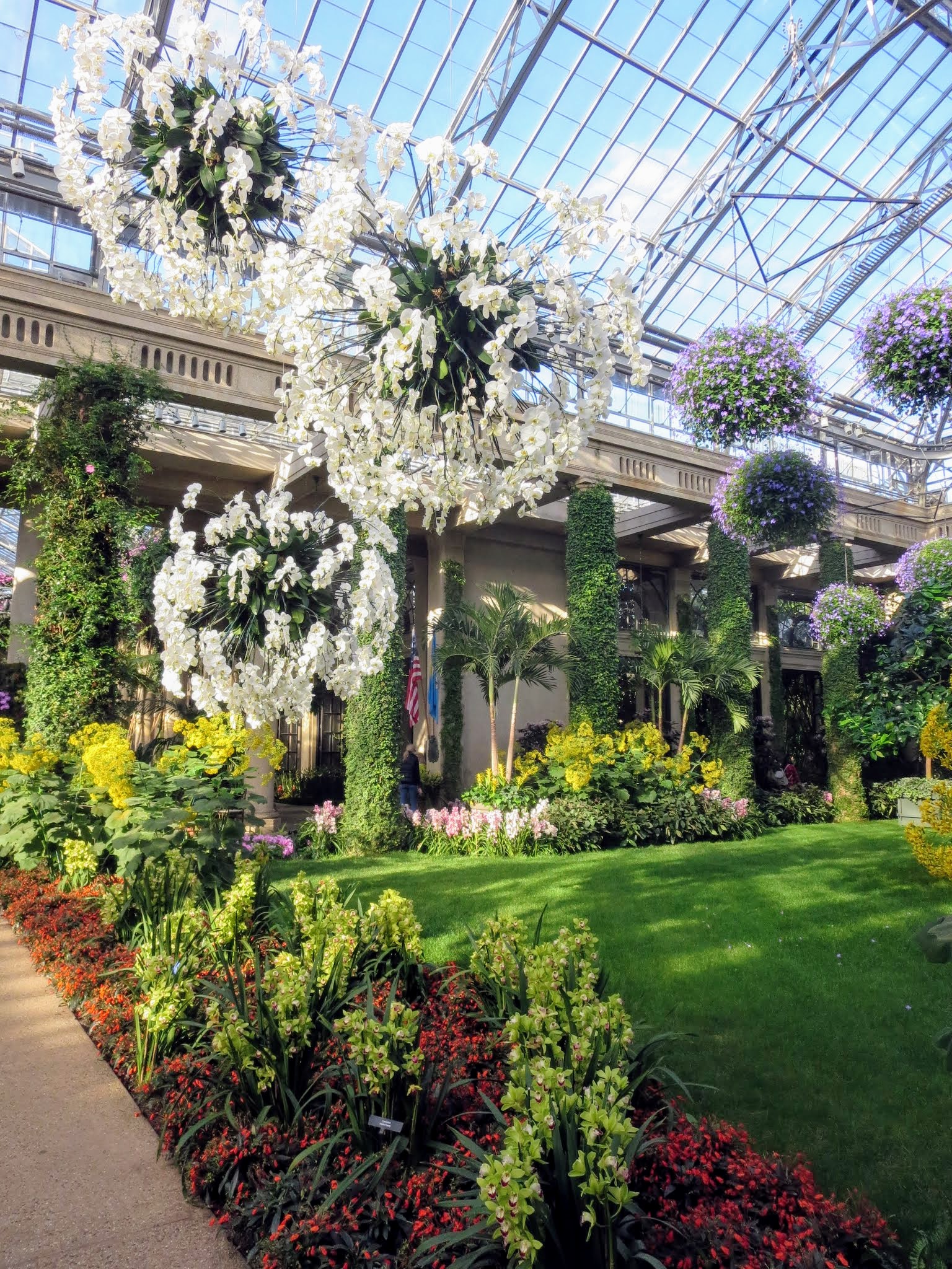 "Orchid Extravaganza" at Longwood Gardens The Martha Stewart Blog