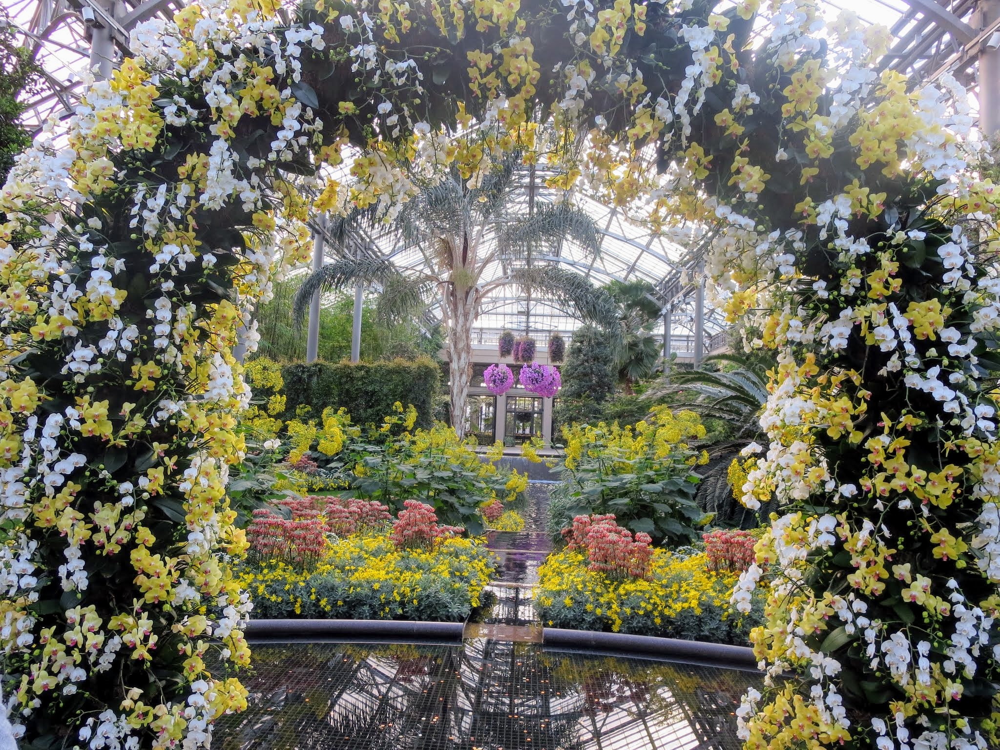 "Orchid Extravaganza" at Longwood Gardens The Martha Stewart Blog
