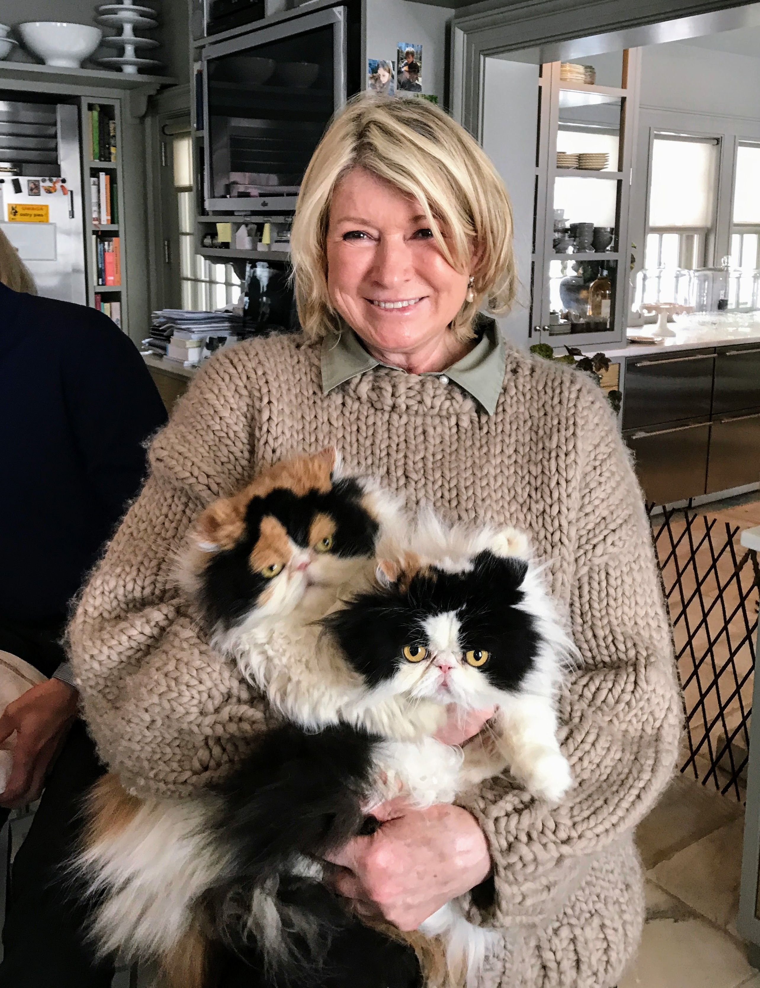 Photos from Kevin Sharkey The Martha Stewart Blog