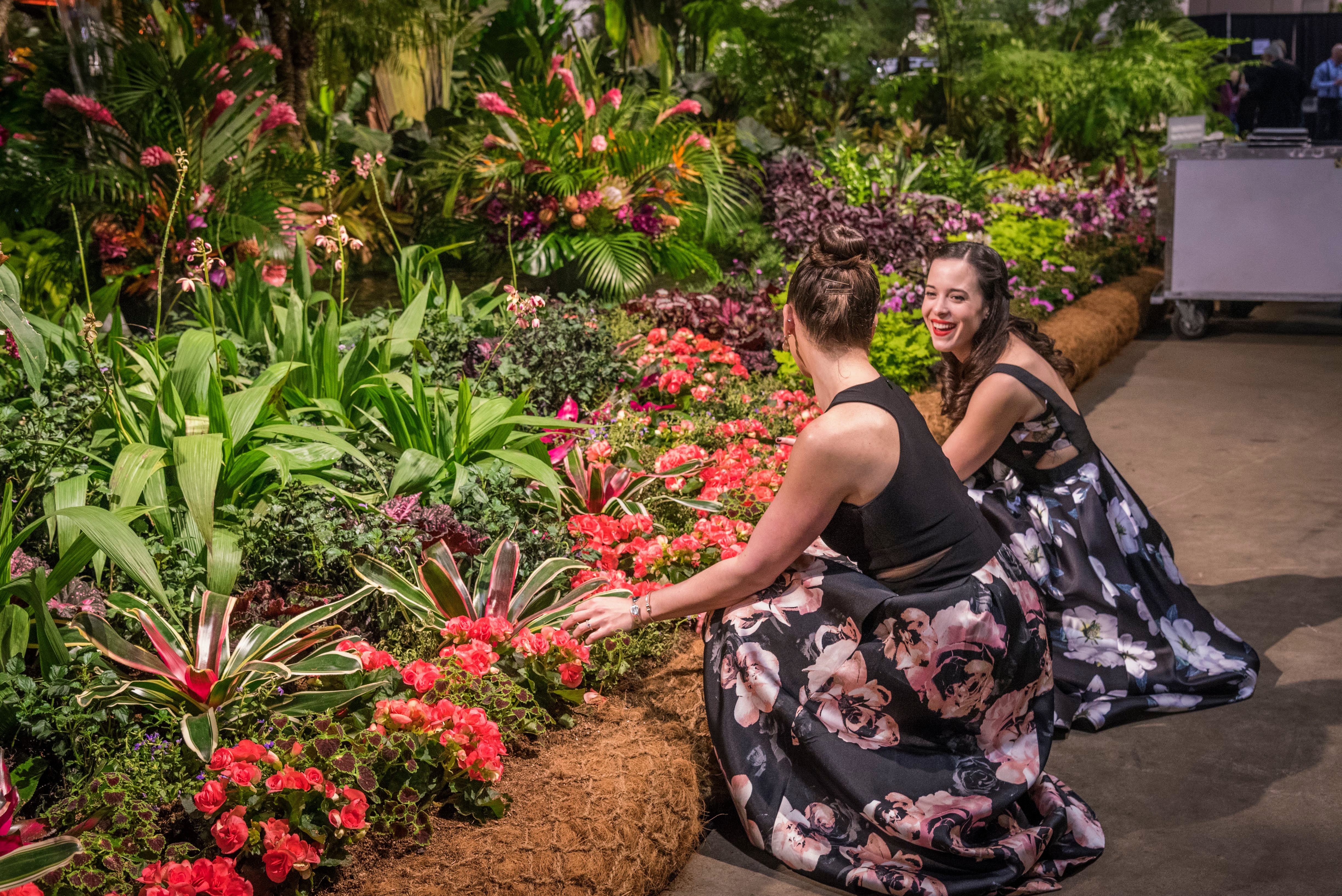 The 2018 Philadelphia Flower Show The Martha Stewart Blog