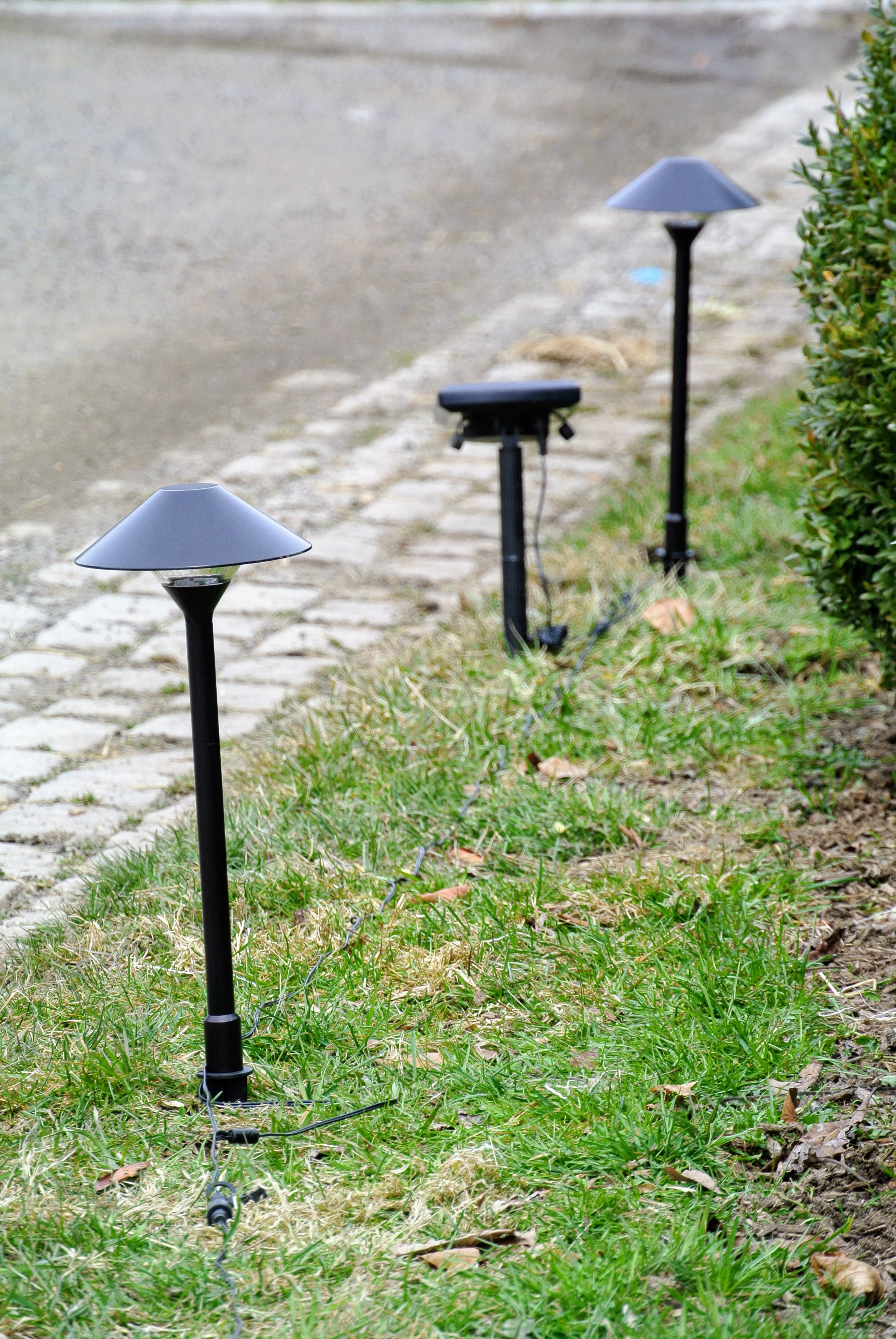 My Newest Offerings from My Garden Collection on QVC The Martha