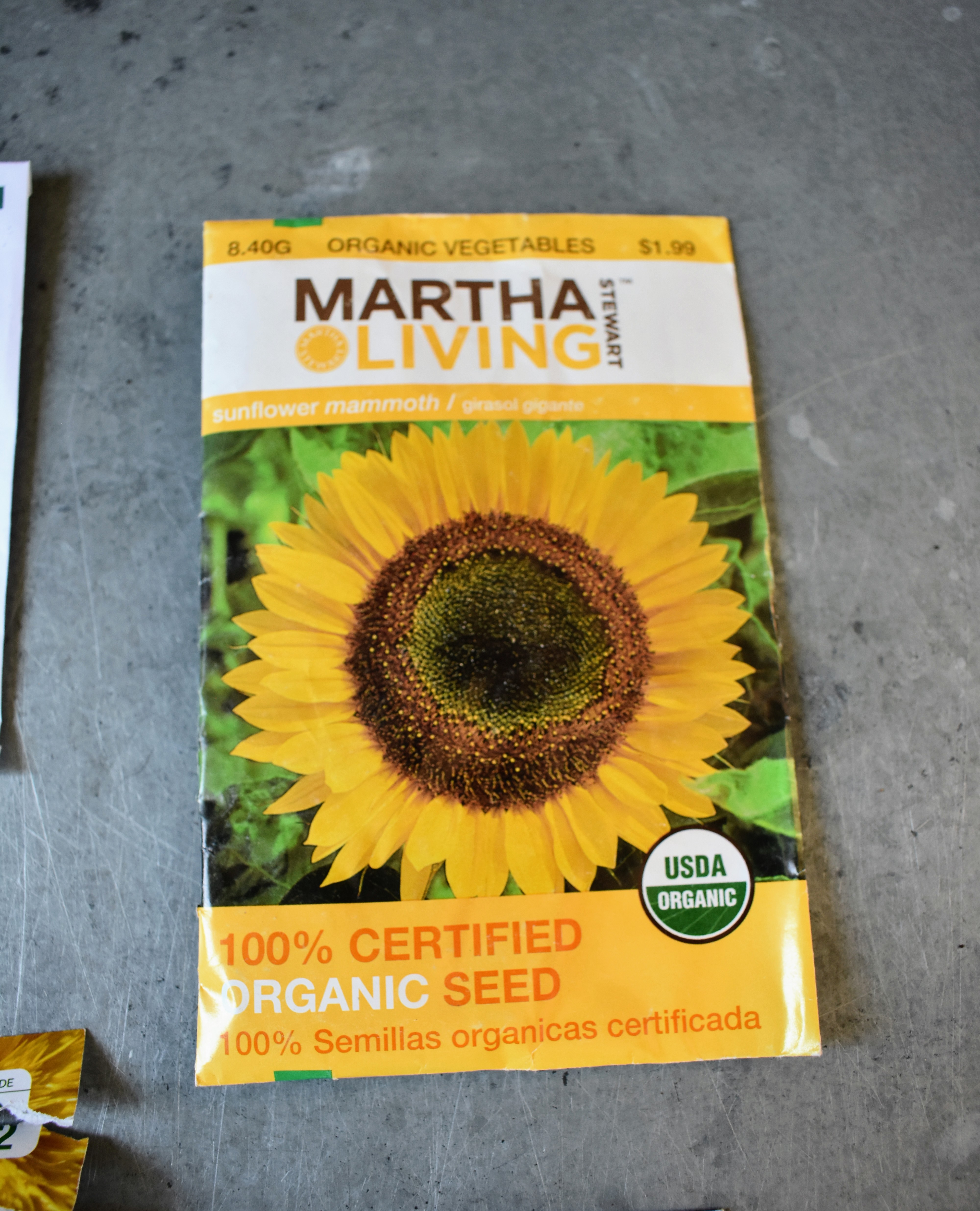 Planting a Bed of Sunflowers The Martha Stewart Blog