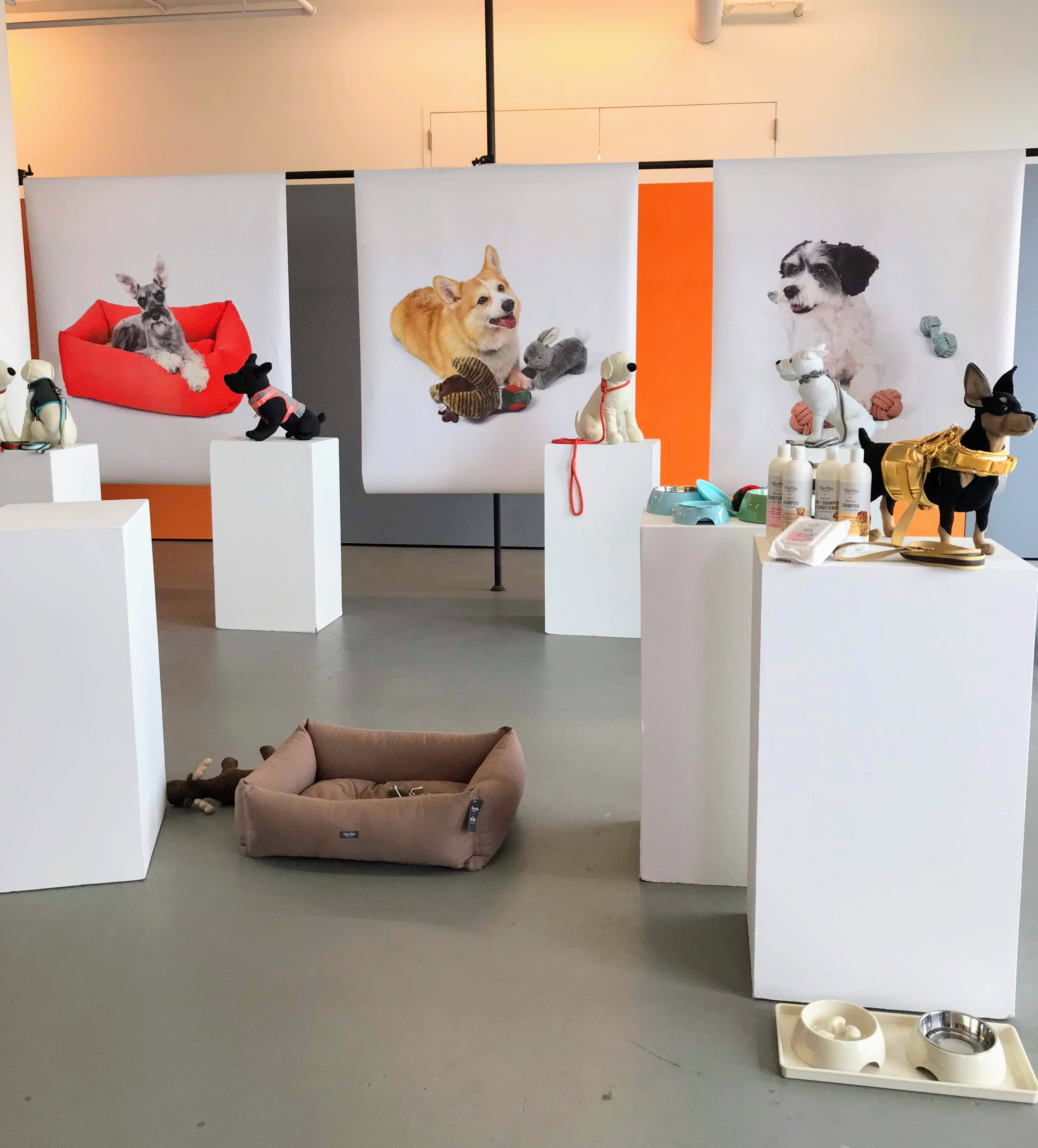 Behind the Scenes of a Photo Shoot with My Dogs The Martha Stewart Blog