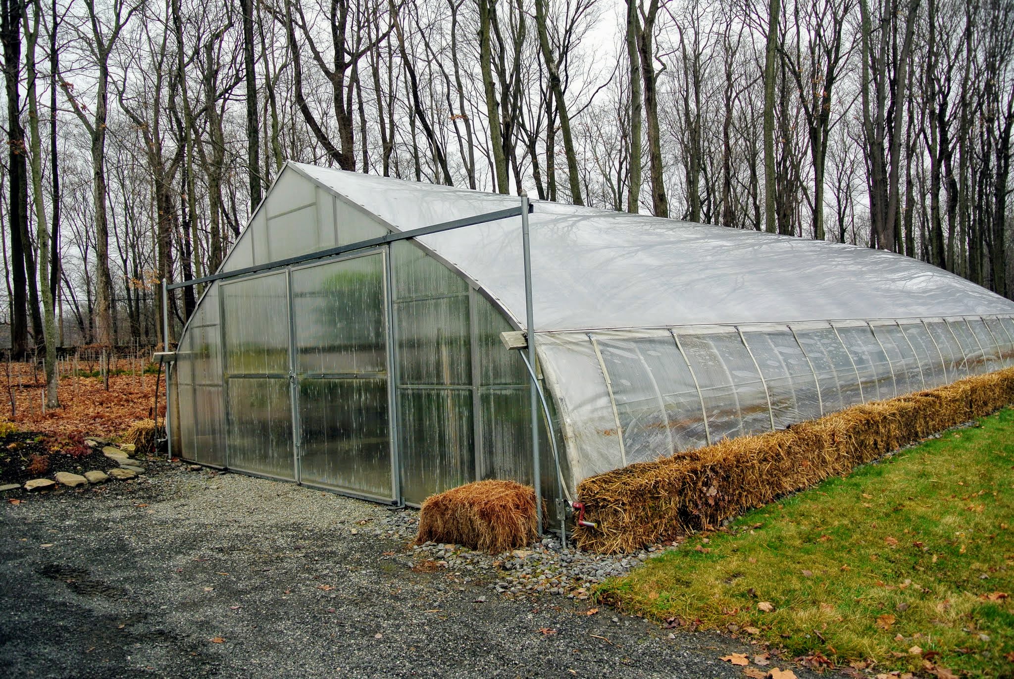 The Martha Stewart Blog Blog Archive My Tropical Hoop House Gets a New Cover