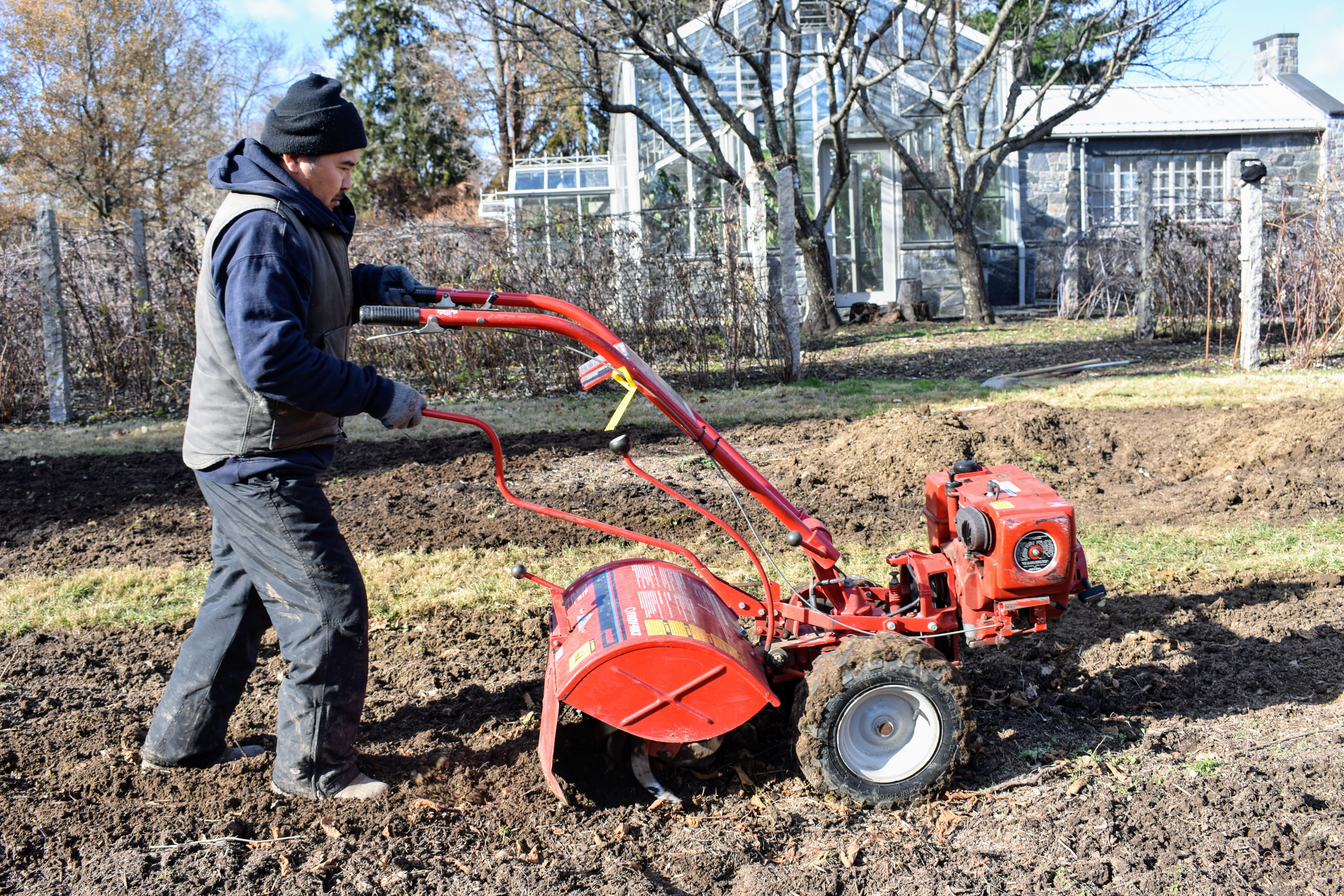 Moving the Currant Bushes at My Farm The Martha Stewart Blog