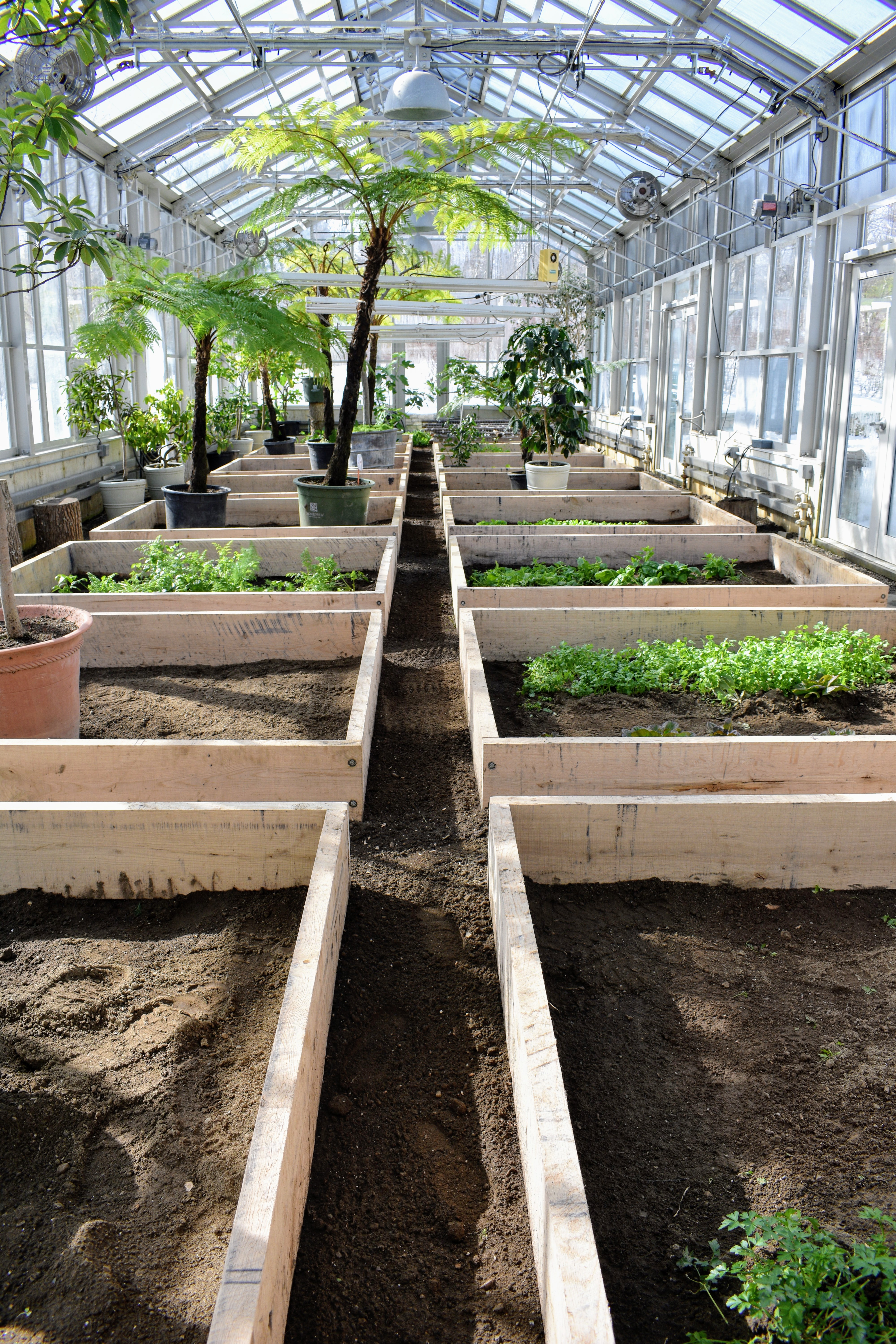 Building Planter Boxes for My Vegetable Greenhouse The Martha Stewart