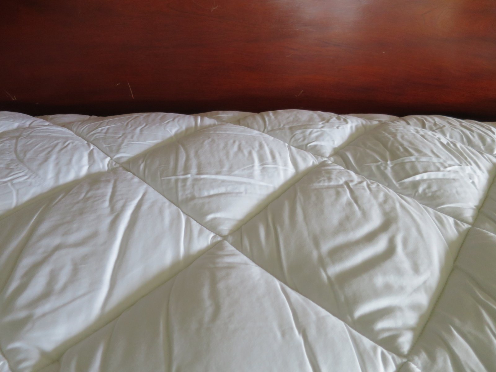 My Dream Science Mattress Pads from Macy's The Martha Stewart Blog