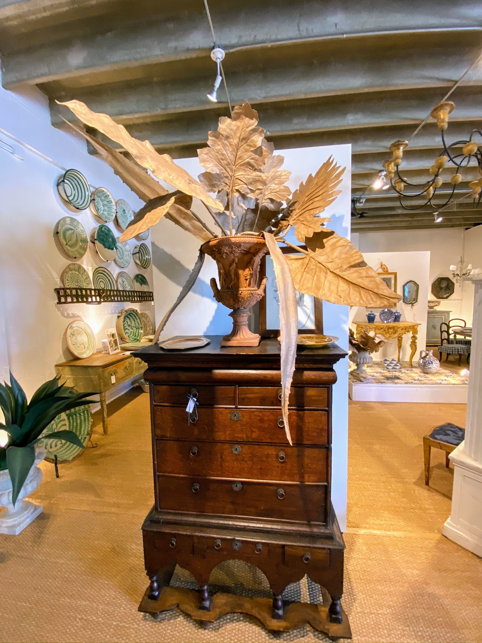 The Martha Stewart Blog Blog Archive Shopping Around Palm Beach