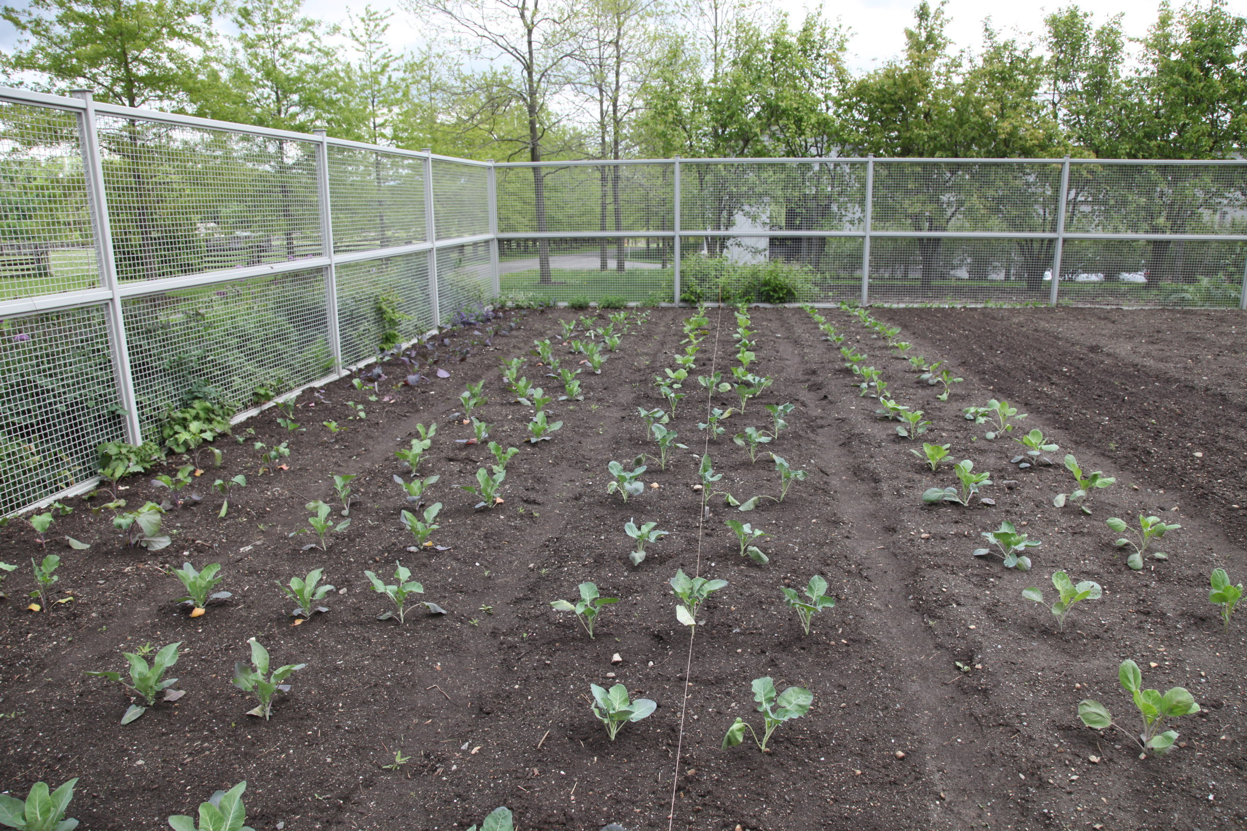 More Views of Bedford The Martha Stewart Blog