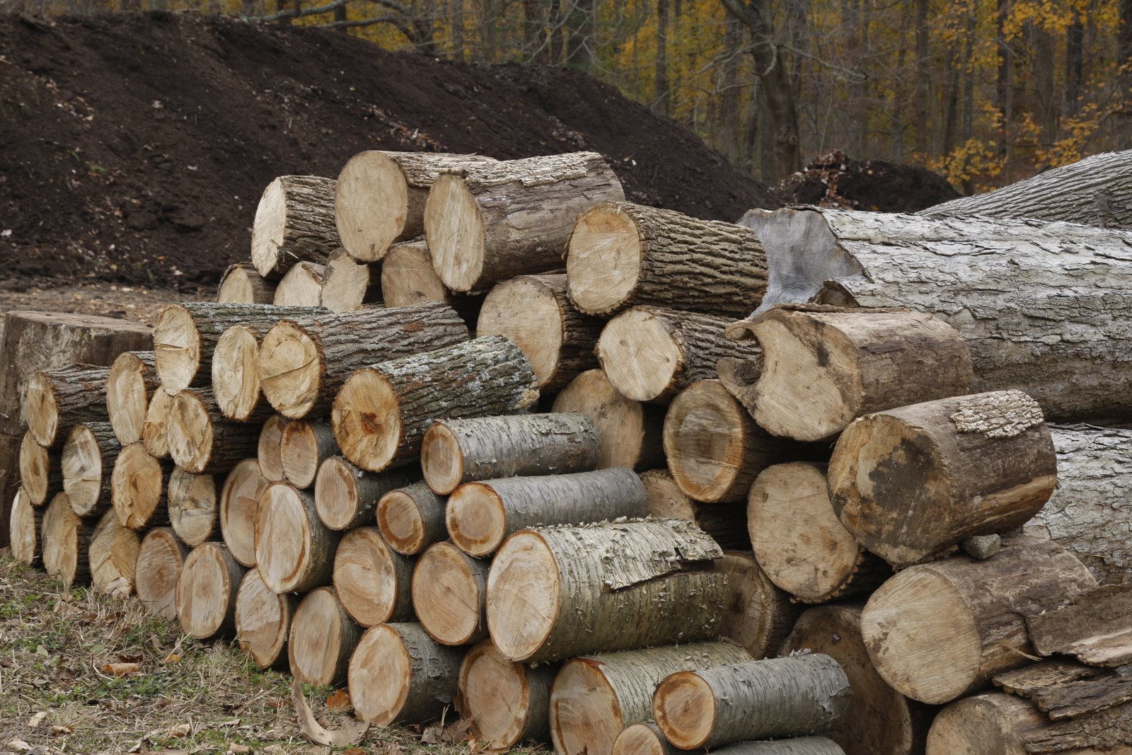 Rural king tool shed angle grinder any good daseuni