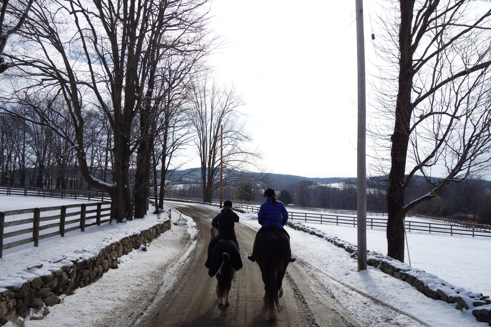 A Cold And Snowy Ride In North Salem, New York The Martha Stewart Blog