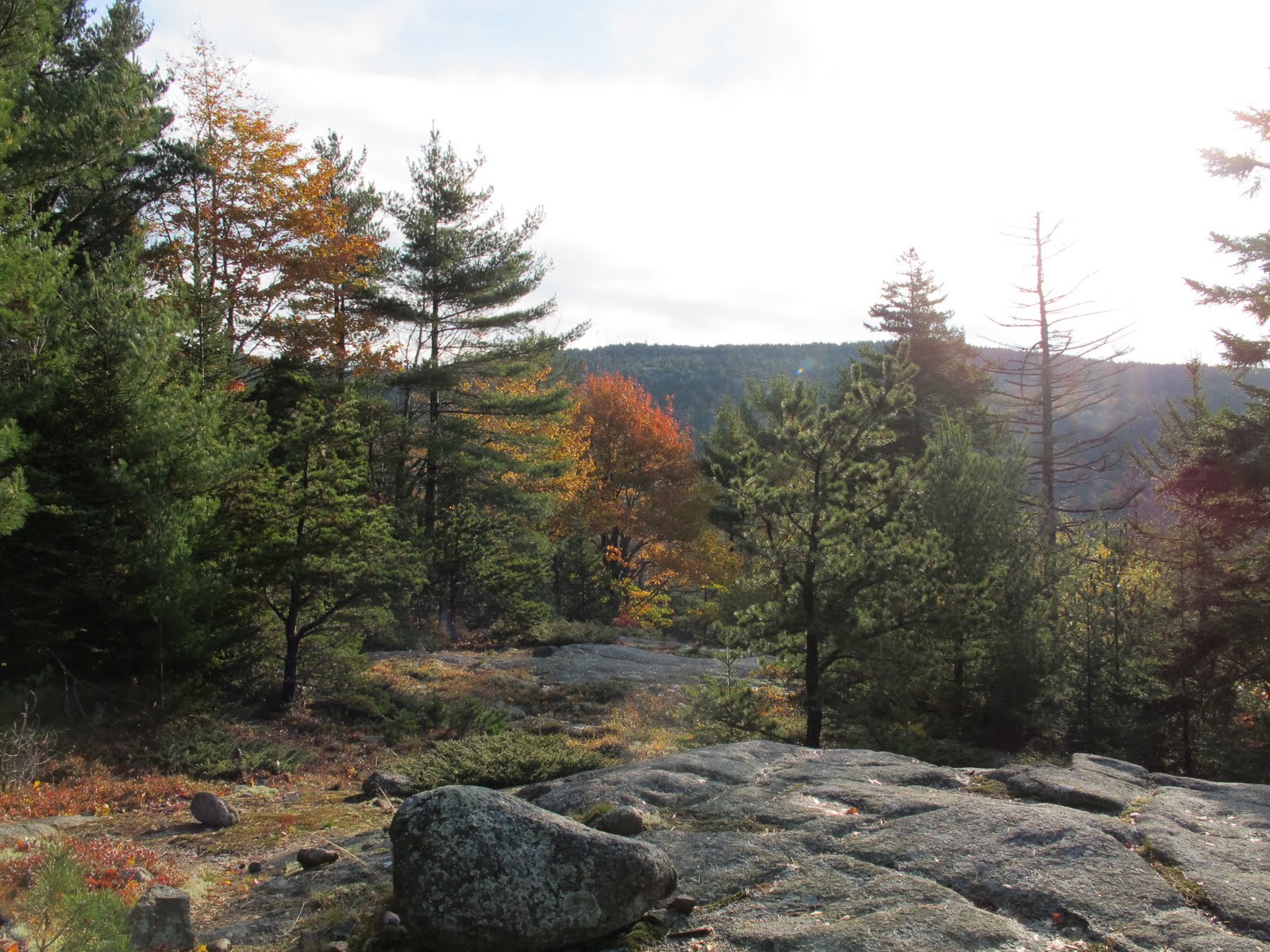 Hiking Parkman Mountain in Acadia National Park The Martha Stewart Blog