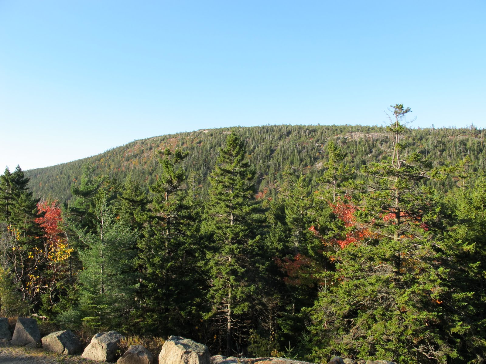 Hiking Parkman Mountain in Acadia National Park The Martha Stewart Blog