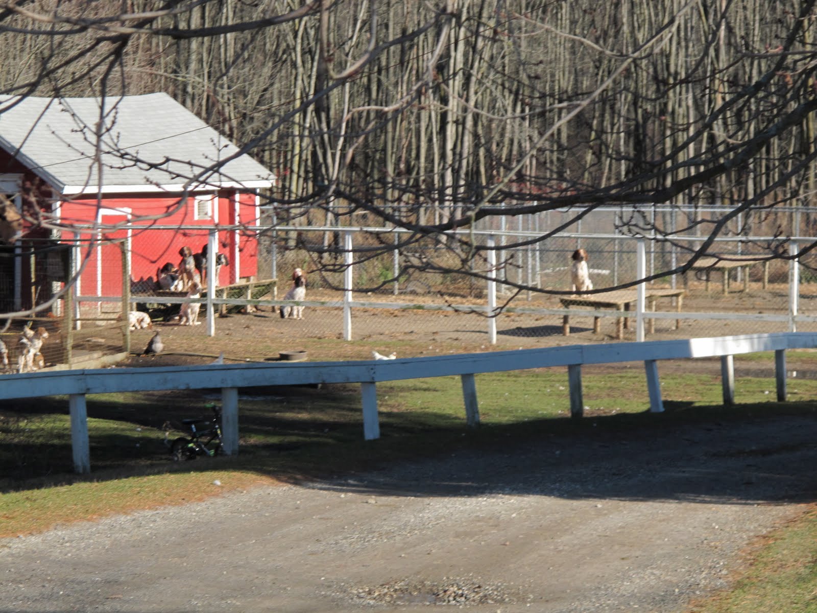 A Brisk Horseback Ride in North Salem, NY The Martha Stewart Blog
