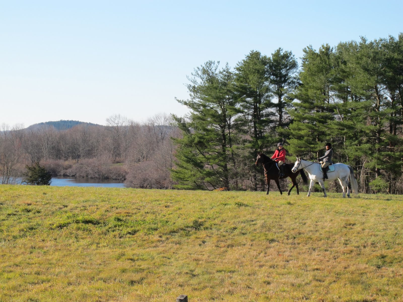 A Brisk Horseback Ride in North Salem, NY The Martha Stewart Blog