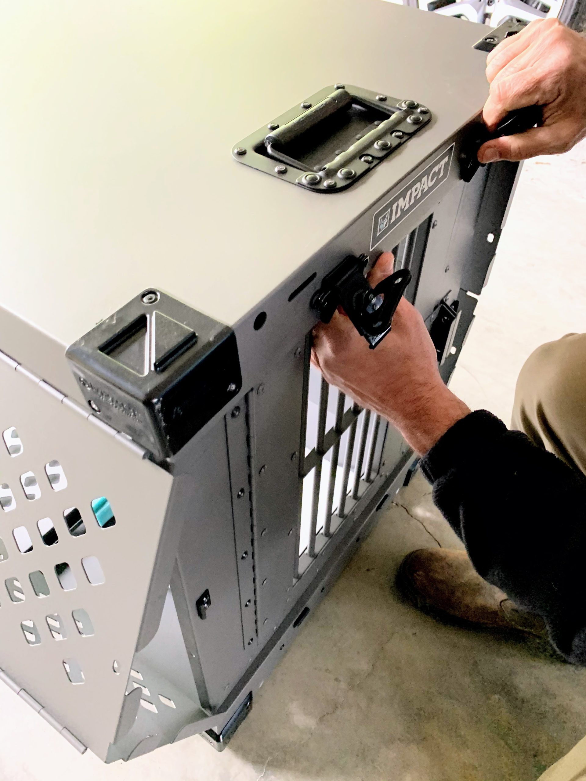 My Impact Dog Crate The Martha Stewart Blog