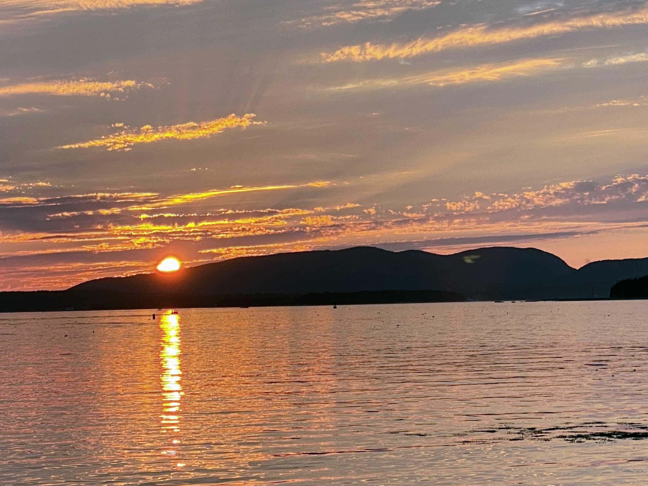 My Summer at Skylands 2020, Part Three The Martha Stewart Blog