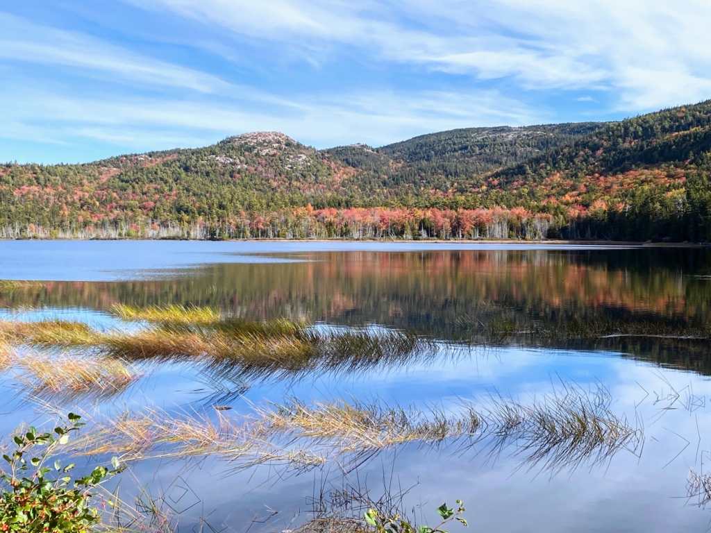 Autumn Colors in Maine The Martha Stewart Blog
