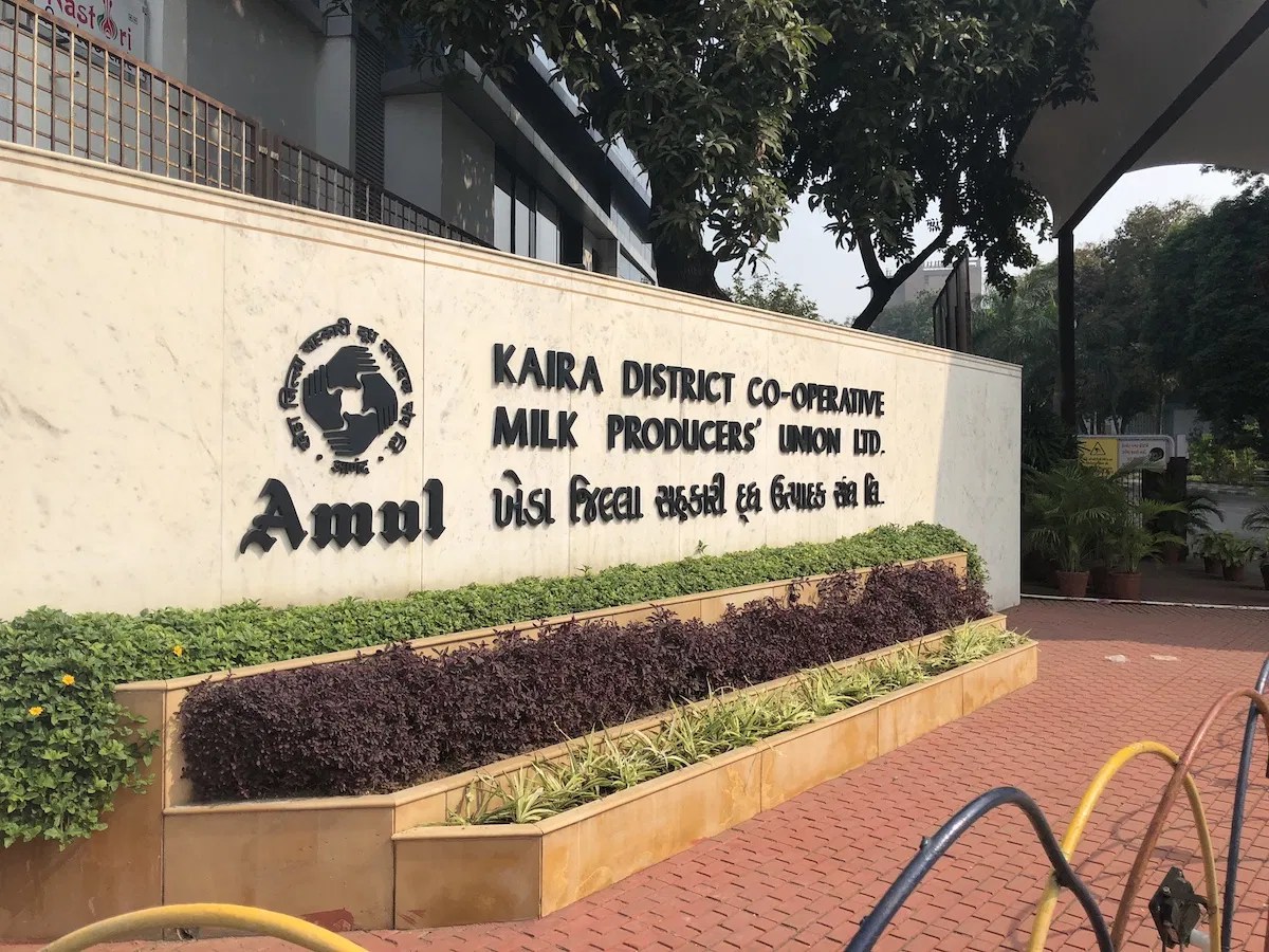 Gujarat elections How BJP is using Amul, milk cooperatives to win state