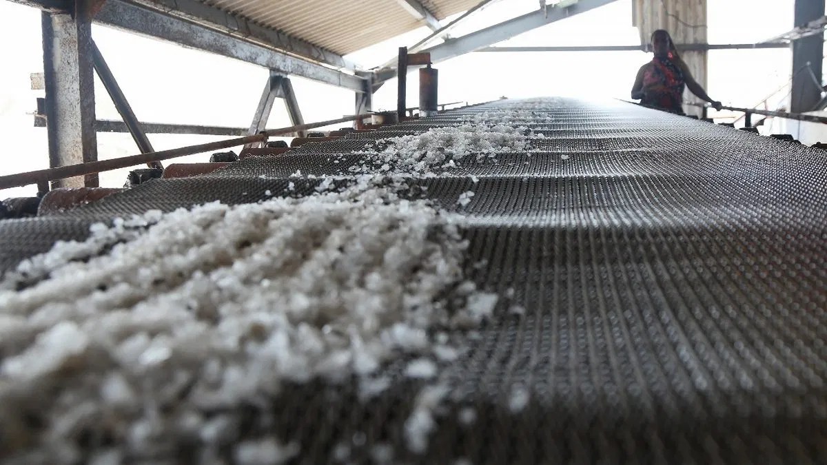 Salt shortage expected next year as heavy rains & lockdown hit