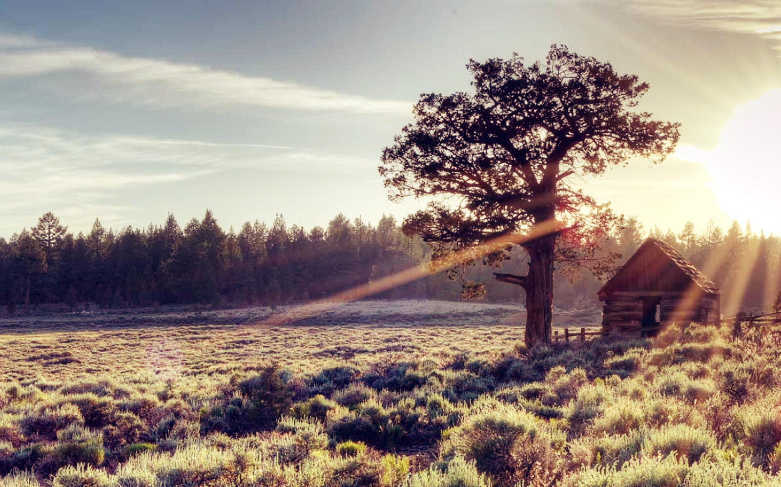 Valley Ranch Campground In Big Bear Lists For 12M