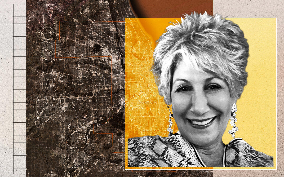 Cook County and Maria Pappas Sued Over Resi Tax Sales