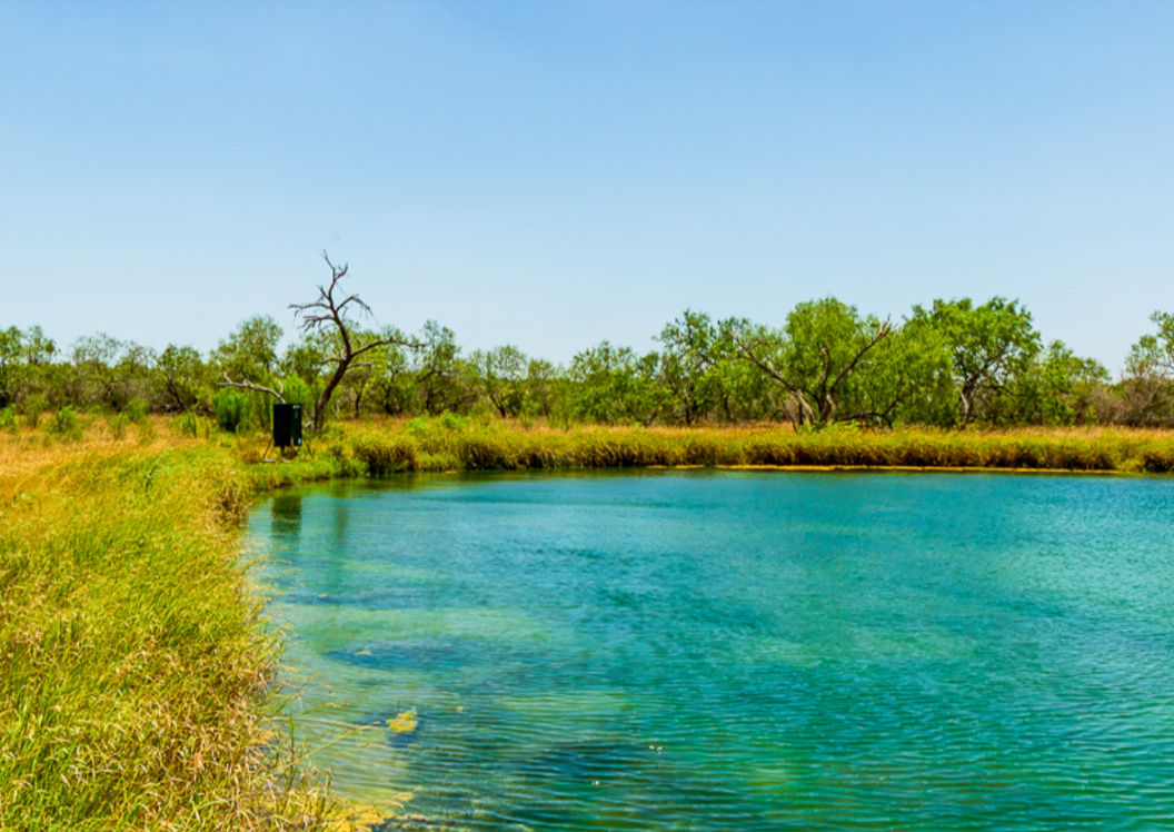 This 600Acre Texas Ranch Has Hit The Market For 2.4 Million