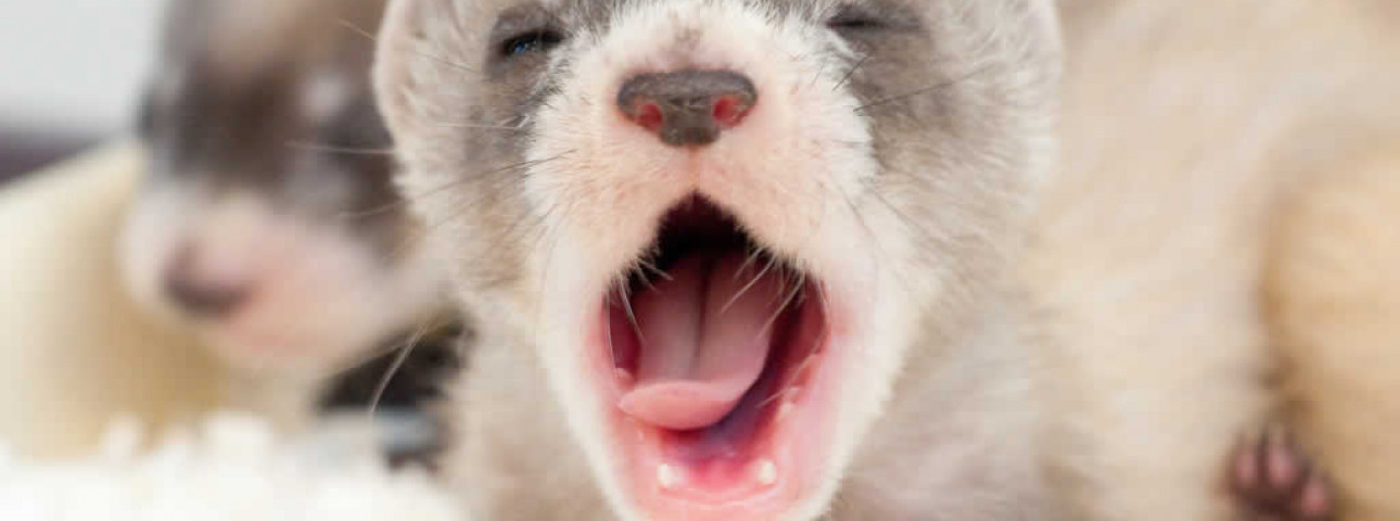 Is April 2, 2023 A National Holiday Worldwide Public Holidays Sunday April 2Nd 2023 | Office Holidays